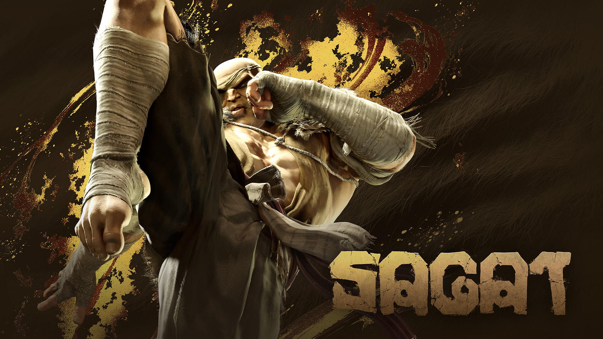 sagat_ss01